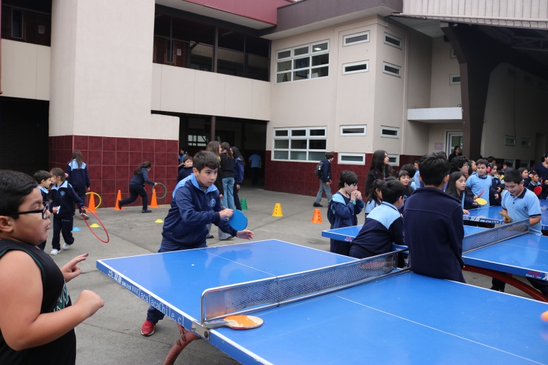 Día de la Actividad Física